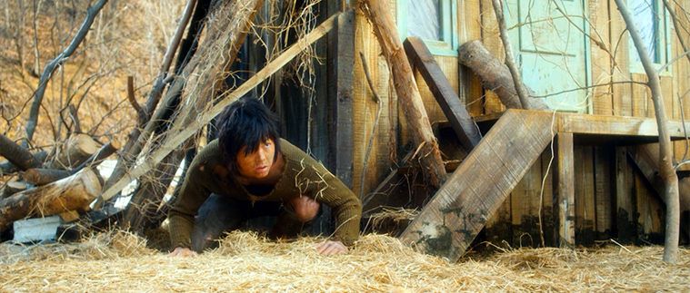 A Werewolf Boy